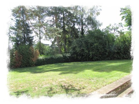 Blick in den Garten