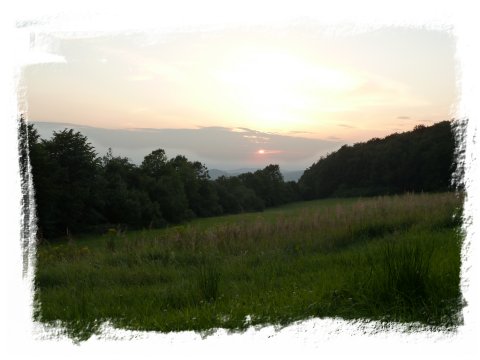 Impression im Habichtswald - Foto: H.U.Burgtorff