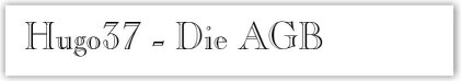 "Hugo37" - Unsere AGB